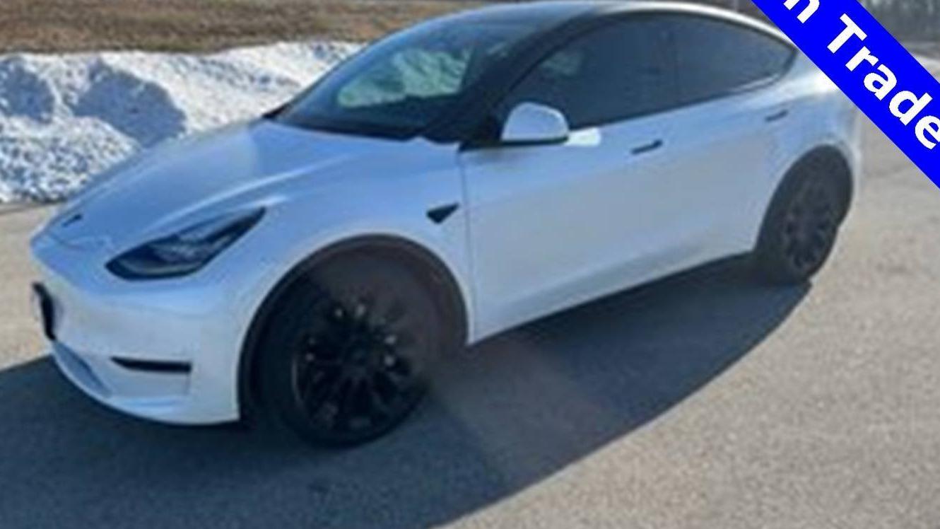 TESLA MODEL Y 2021 5YJYGDEE7MF102316 image